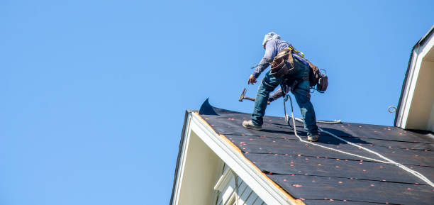 Best Roof Gutter Cleaning  in Greenwood, LA